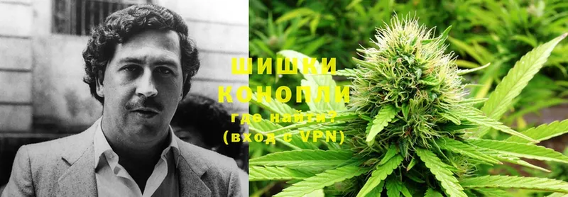 Конопля SATIVA & INDICA  блэк спрут   Красавино 